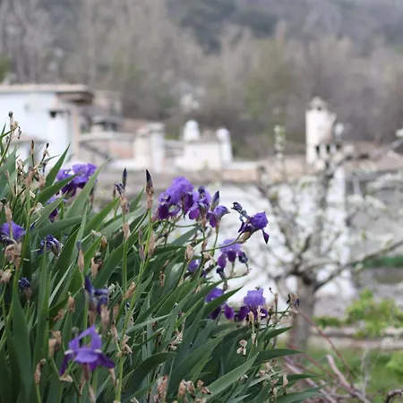 Casa Violeta Atalbeitar