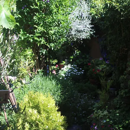 Casa Violeta * Atalbeitar