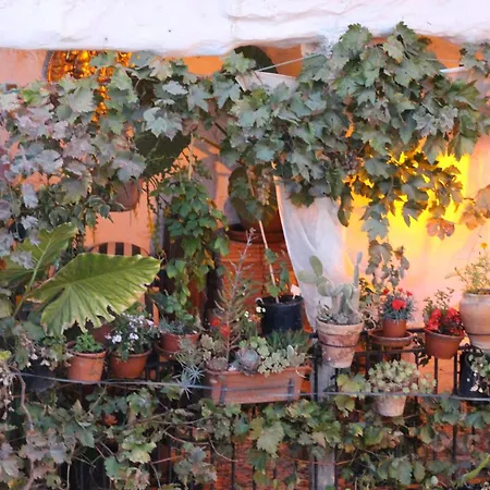 Casa de Férias Casa Violeta